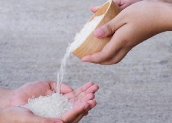 Kelola THR untuk Zakat Fitrah Saat Pandemi