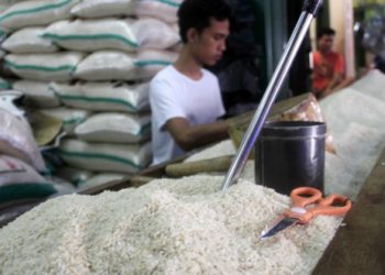 Indonesia Bakal Ekspor Beras ke Arab Saudi