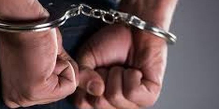 Polisi Amankan Truk Pengangkut Ratusan Kilogram Ganja