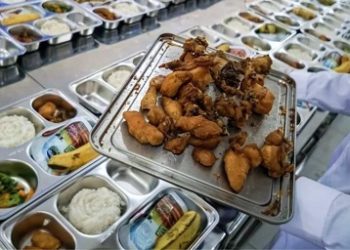 Dampak Perang Iran, Badan Gizi Bakal Efisiensi