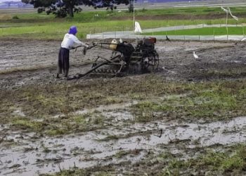 Dua Desa di Bekasi Terdampak Kekeringan