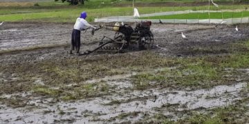 Dua Desa di Bekasi Terdampak Kekeringan